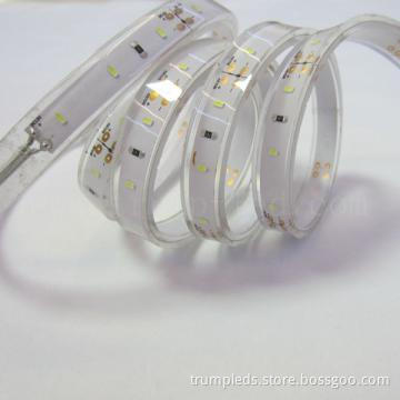 3014 3528 5050 waterproof led led strip lights